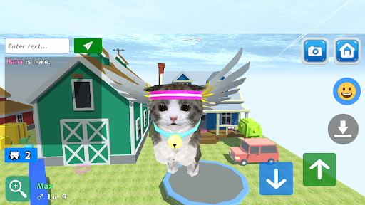 Cat Simulator 3