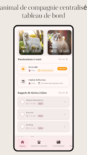 Aperçu de l'application