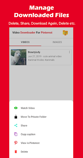 Video Downloader For Pinterest 10