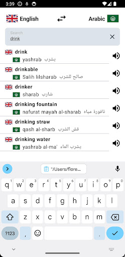 Arabic-English Dictionary Screen 2