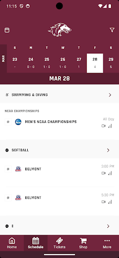 Screenshot of SIU Salukis