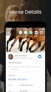 Horse Match Screenshot