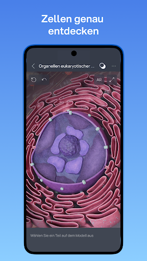 VOKA 3D Anatomie Atlas Lernen screenshot 4