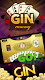 screenshot of Gin Rummy - Offline Card Games