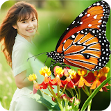 Butterfly Frame Collage icon