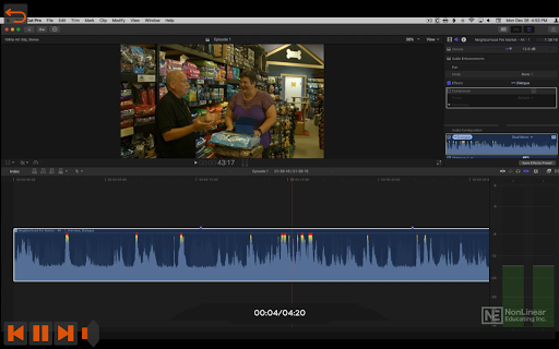 Pro Audio Course for Final Cut