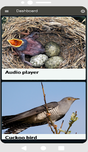 Cuckoo bird sounds