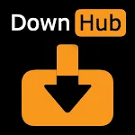 DownHub : Video Downloader APK
