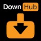 DownHub: Video Downloader