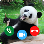 Cover Image of ダウンロード Panda Prank Video Call App 4.0 APK