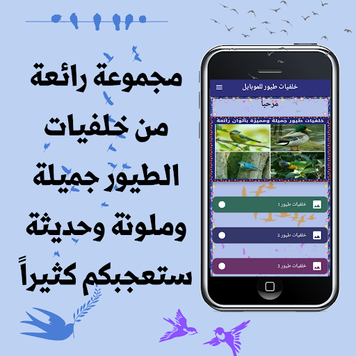 Android application خلفيات طيور للموبايل screenshort