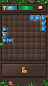 Block Puzzle 7