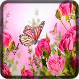 Butterfly Wallpapers for Chat icon