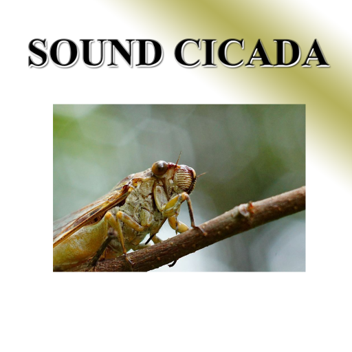 Cicada  Icon