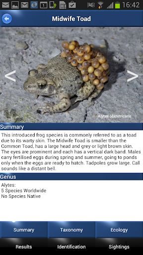Reptiles and Amphibians - iden Screen 3
