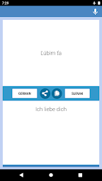 German-Slovak Translator