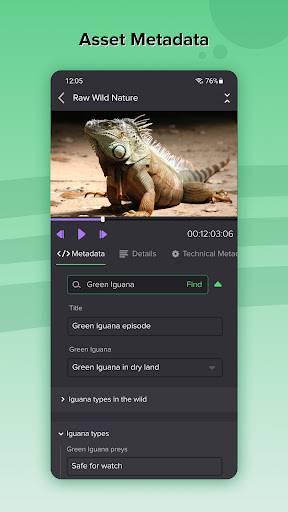 Dalet Flex Screen 3
