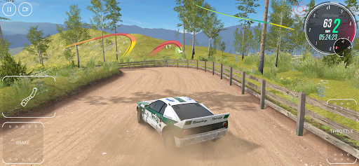 Rallye CarX