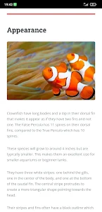 Clownfish Care Guide