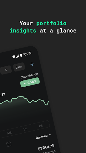 Accointing by Glassnode Screen 2