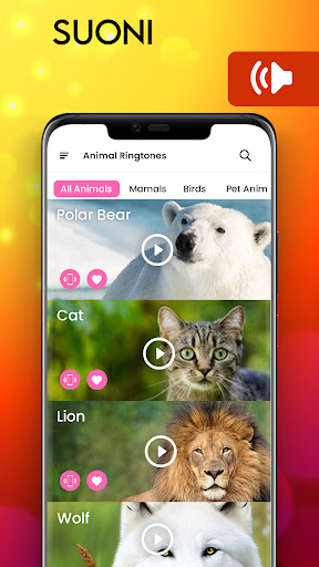 Anteprima dell'app