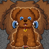Toy Poodle Dog Escape icon