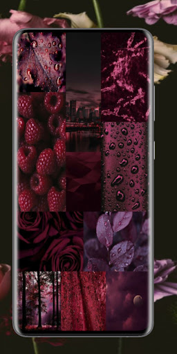 Pink Flower Live Wallpaper HD