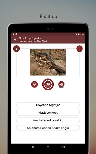 Screenshot of Birds Encyclopedia Offline App