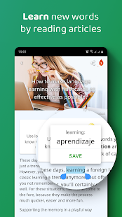 DuoCards - Language Flashcards Screenshot