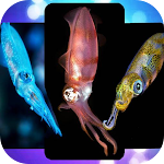 Cover Image of Baixar Squid Wallpapers  APK