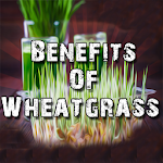Cover Image of Unduh Benefits Of Wheatgrass  APK