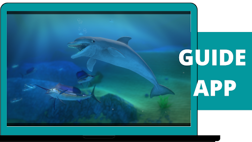 Guide for fish feed and grow