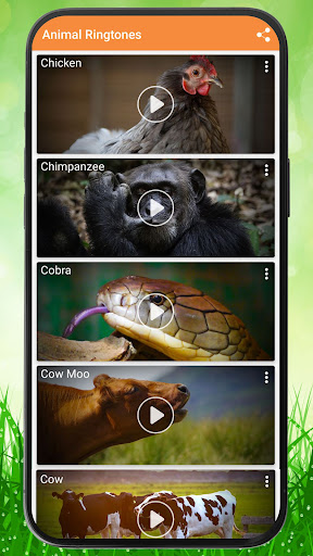 Logo https://play-lh.googleusercontent.com/9EBToJIAr3mWHIHcyv4ZOTU87Wbco_oIm0w_r9CFAFP7sw8QhzBrxazLj9vUa75HQEs