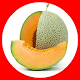 Full melon cultivation Download on Windows