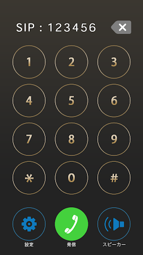 MG-PHONE Screen 2