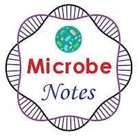 Microbe Notes | Microbiology and Biology Notes