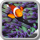 Clownfish Wallpaper icon