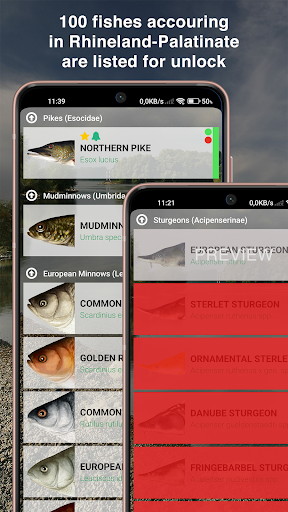 Fishguide Rhineland-Palatinate Screen 2
