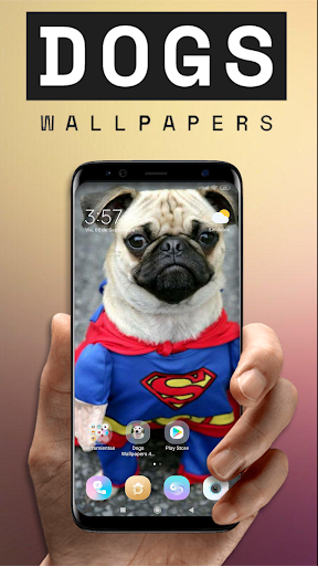 Android application WallDog - Dogs 4k Wallpapers screenshort