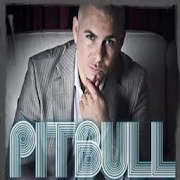 Pitbull Ringtones - Music Offline (40 Song)