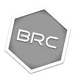 Branch Pro icon