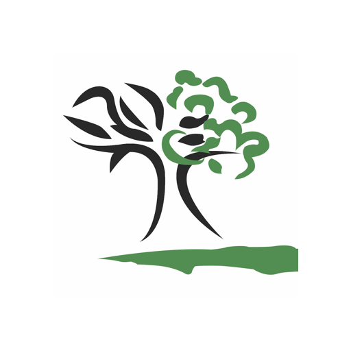 Biblical Restoration Ministry logo