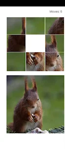My squirrel Puzzle 2
