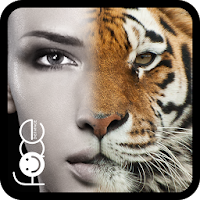 Beauty Face Plus :  face morphing