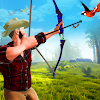 Archery Bird Hunting Games 3D icon