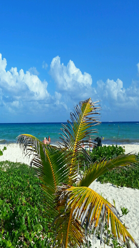 Caribbean Wallpapers