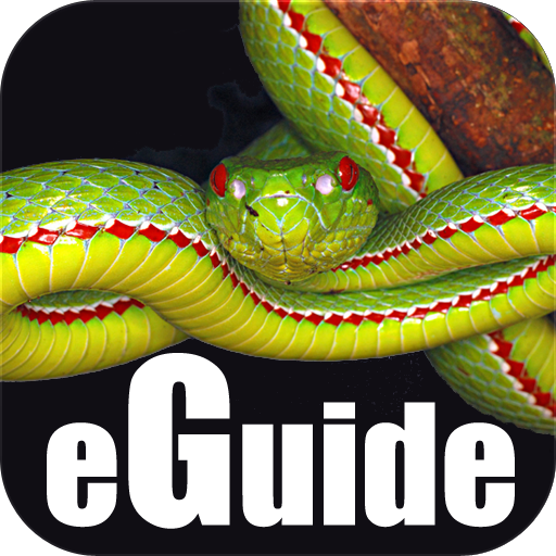 Snakes eGuide logo