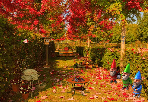 Escape Game Forsaken Adventure