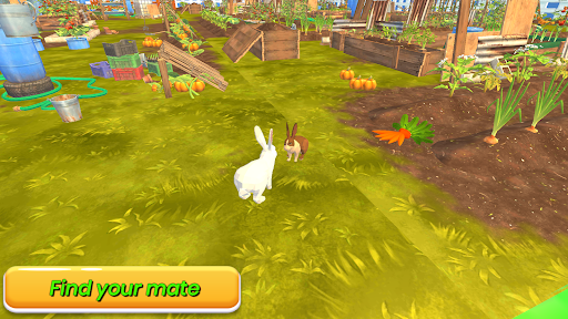 Wild Jungle Rabbit Games Screen 3