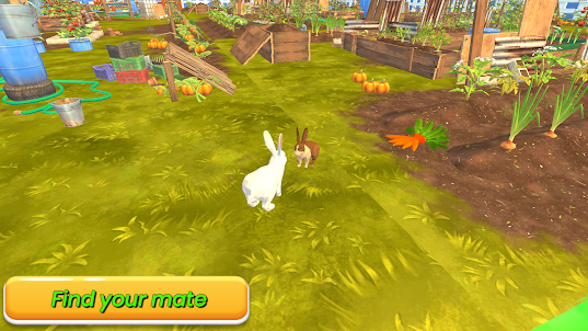 Wild Jungle Rabbit Games